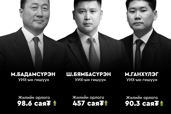 Хөрөнгө, орлого: М.Бадамсүрэн, Ш.Бямбасүрэн, М.Ганхүлэг
