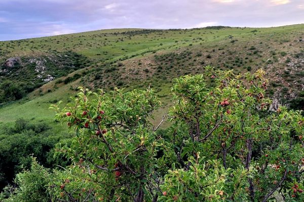 Баянхангай хайрхан (Матад сум)