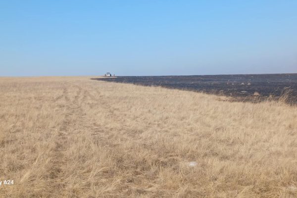 Байгаль орчинд учруулсан хохирлыг нөхөн төлүүллээ