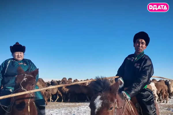 Нэг айлын хотонд таван хошуу мал тавуулаа багтдаг юм шүү гэж аав минь сургасан